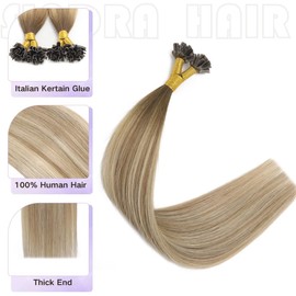 Sindra U Tip Human Hair Extensions, 16 Inch Balayage Walnut Brown to Light Brown and Blond 40g 50 Strands/pack Pre Bonded Fusion Extensions Straight Real Human Hair (#3/8/22, 16)