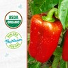 Back to The Roots 100% Organic Seed Packet Bell Pepper