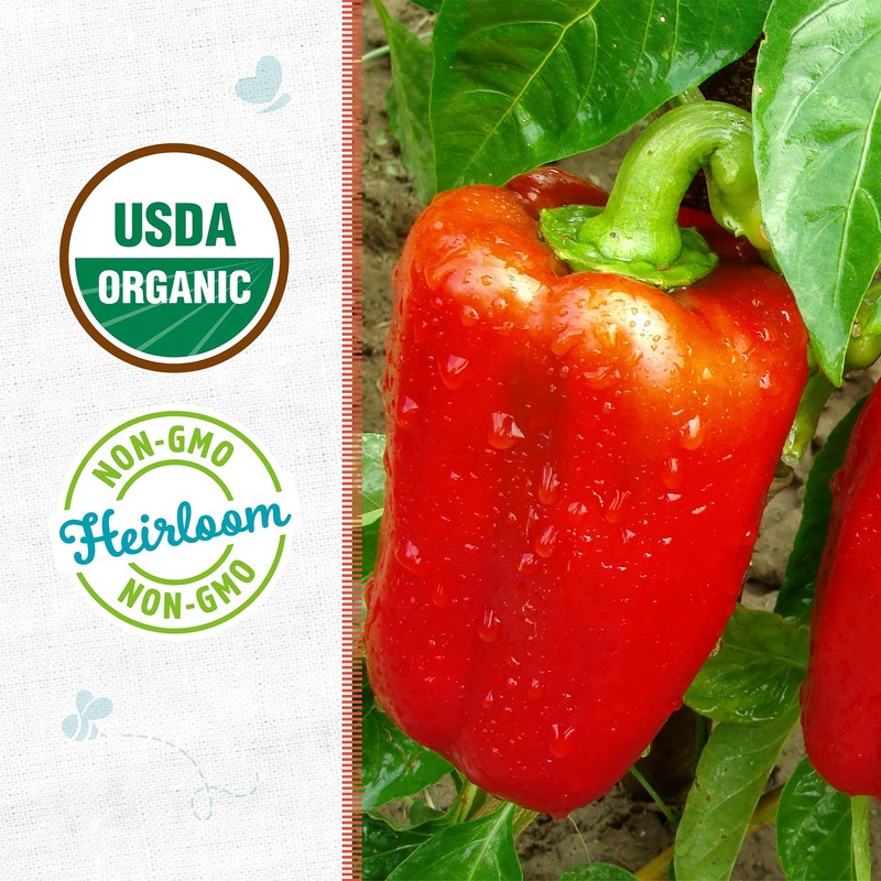 Back to The Roots 100% Organic Seed Packet Bell Pepper