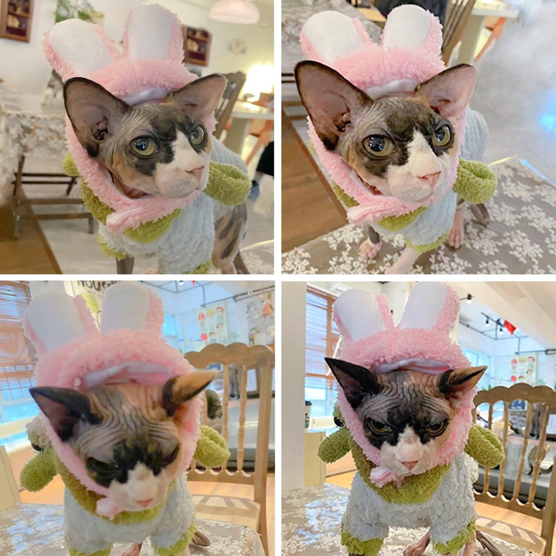Cat Costume Bunny Rabbit Hat with Ears for Cats &