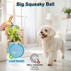 BEAUTYZOO Floating Dog Pool Toys for Small/Medium Dogs - Durable