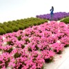 314 Pcs Nylon Miniature Grass Tufts, Mixed Pink & Purple