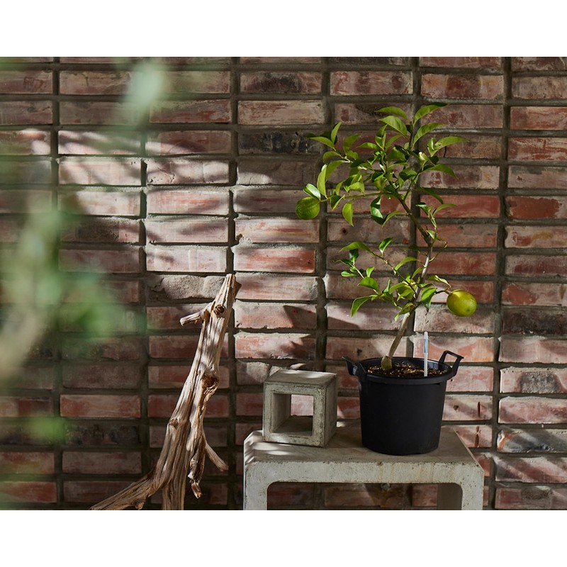 Sustee Aquameter - Medium - Black - Bundle of 2