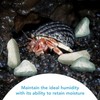 JOR 2 oz Hermit Crab Rocks, Natural Calcium Stones for