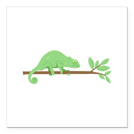 CafePress Chameleon Lizard Square Car Magnet 3 X 3 Square Car Magnet, Magnetic Bumper Display