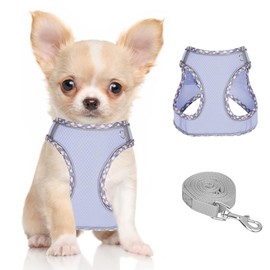 DoggieKit Dog Harness for Small Medium Dogs No Pull Adjustable Step in Puppy Harness and Leash Set,Reflective Breathable Mesh Pet Harnesses Soft Padded Vest for Dogs Cats Easy to Put on