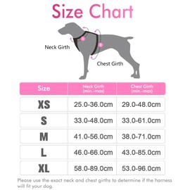 rabbitgoo Dog Harness Large Dog No Pull Pet Harness with 2 Leash Clips, Adjustable Soft Padded Pet Vest, Reflective No-Choke with Easy Control Handle for Training or Walking, Pink Blue L