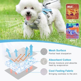 Adjustable Dog Cooling Vest, Dog Harness Cooler Jacket, Evaporative Cooling Vest for for Summer Hot Weather Outdoor (Blue-M)