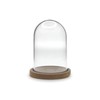 Decorative Terrarium Plastic Clear Dome with Wood Base - DIY