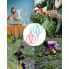 Flower Scissors 12 Pcs - Stainless Steel Floral Scissors, Flower