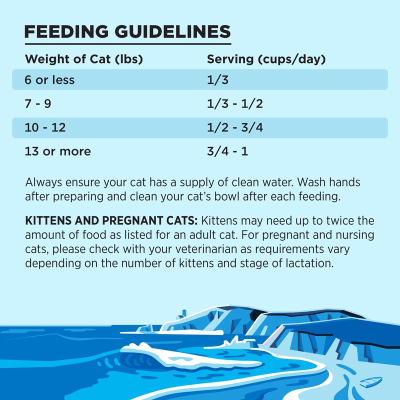 BIXBI Liberty Dry Food Salmon Recipe for Cats, 3lb