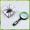 Real Animal Insect in Resin Bat Hairy Spider Specimen Taxidermy