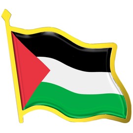 Palestine Flag Lapel Pin - Enamel Metal National Badge | World Travel Souvenir Gifts for Men & Women | Country Flag Patriotic Brooch Bulk Pack of Pins for Hat, Tie, Clothes, Backpack (1pc)