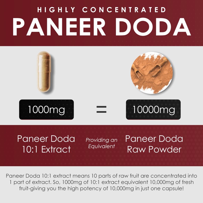 AMALTH Paneer Doda Extract 1000 mg, 120 Capsules Non-GMO &