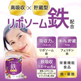 (High Absorption x Storage Type) Iron Supplement, Liposome Iron, Ferritine Iron, Pure Iron, Iron, 6 Types of Support Ingredients, Folic Acid, Vitamin B, Vitamin D, Bifidobacteria, Zinc, 1 Bag, Levante