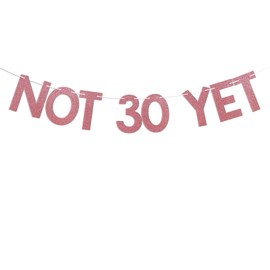 Not 30 Yet Banner - Last Year In My 20s, Twenty Fucking Nine, Cheer to 29 Years, Funny 29th Birthday Party Decorations Rose Gold Glitter
