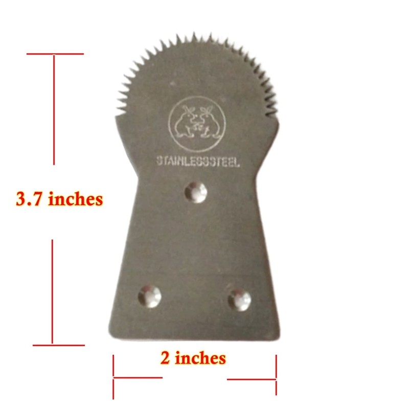 Dolphin Shop, Coconut Scraper Grater Stainless Steel Shredder Serrated Grinder