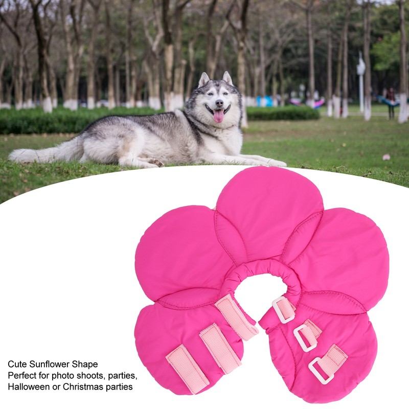 Pet Recovery Collar Adjustable Lightweight Prevent Licking Sunflower Shape Cute