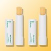 innisfree [더블구성] 이니스프리 유채꿀 립밤 3.5g