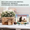 Switzerland Travel Photo Frame Gifts, Wedding Frames For Newlywed, Switzerland