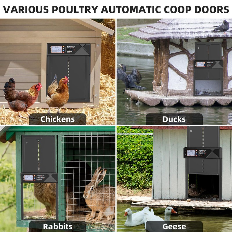 Automatic Chicken Coop Door Solar Powered, LCD Screen Electric Chicken