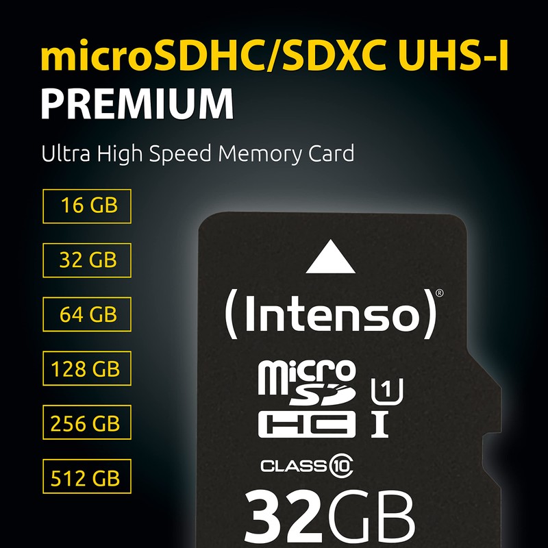 Intenso Micro SDHC memory card