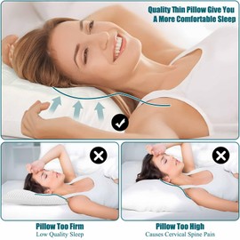 Ultra Flat Thin Pillows for Sleeping Queen Size Set of 2 Pack, 2-1/2" High Slim Bed Pillow for Back Stomach Sleepers Down Alternative Filling Hypoallergenic White 18x30 in