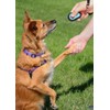 HoAoOo Pet Dog Trainging Clicker with Wrist Band/Clickers for Cat,