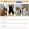 estbicn Bubble Laser Pet Toy Automatic Cat Laser Toy -