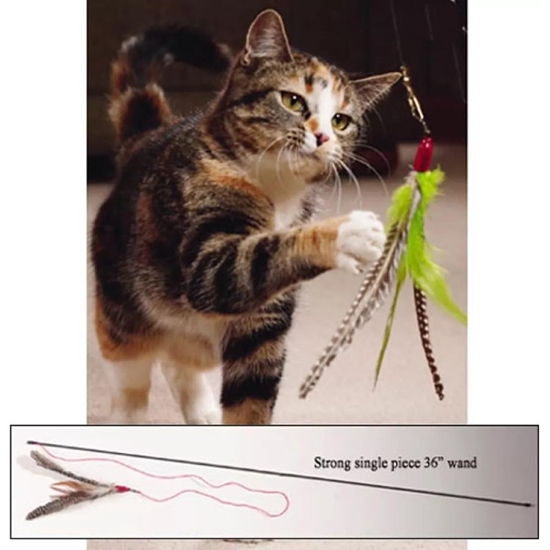 Go Cat Da Bird Single Pole Teaser on 36 inch