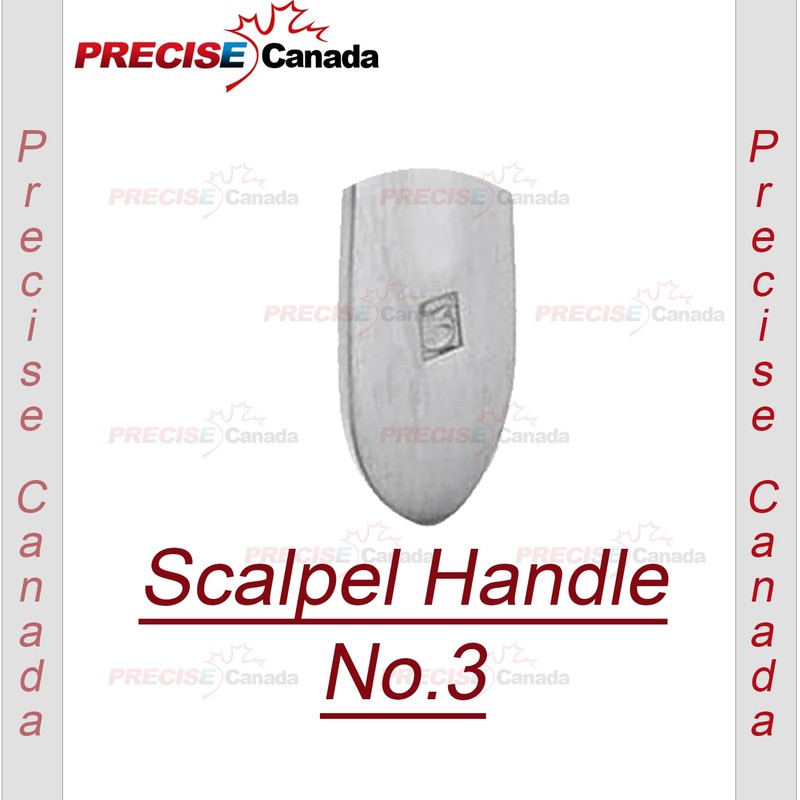 PRECISE CANADA: 100 Scalpel Blades #10 and Includes ONE Handle