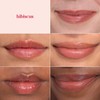 Bálsamo labial tintado natural Burt's Bees, Hibiscus, 2 unidades