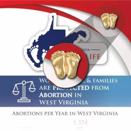 Heritage House '76 Precious Feet, Gold-Colored, Alabama Stats Card Jewelry, Lapel Pin