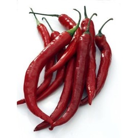 50+ Cayenne Pepper Seeds- Italian"Cayenna"- Heirloom Variety
