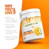 Per4m Multi Blend Collagen | 5g of Marine and 5g