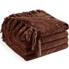 CREATE Chenille Throw Blanket - 50"X 60", Soft Cozy Blanket