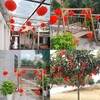 34 Pieces 10 Inch Chinese Red Paper Lanterns Festival Decorations