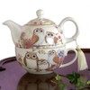 Bits and Pieces - Tea For One Owls Porcelain Teapot