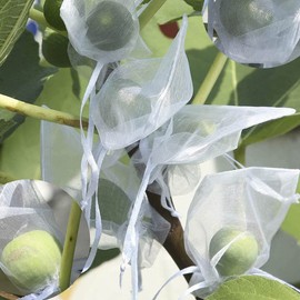 Jwenic Sets of 50 Gift Bags Organza 4x6 Inch White Drawstring Sheer Fabric Solid Color Recycle Pouch for Jewelry Bracelets Food Baby Shower Christmas Party Favors Wedding Bridal Shower Teacher Gift