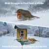 Bird Feeder with Camera, Support 2.4GHz/5GHz, 2K Live Steam for