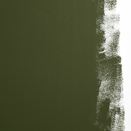 BACKDROP | Premium Interior Paint | Standard Semi Matte, Low Sheen Finish | Self-Priming, Low VOC, Green Wise Certified | NIGHT ON EARTH — Dark olive green | Sample