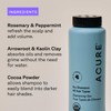 Acure, Shampoo Dry, 1.7 Ounce
