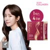 에버콜라겐 스킨앤헤어 1박스 Evercollagen Skin & Hair 1 Box