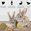 SunGrow Assorted Rabbit Chew Balls, Teething Activity Toy for Pocket