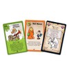 EDGE Entertainment - Munchkin Hidden Treasures