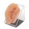 Modelo de Oreja de Silicona, para Práctica de Acupuntura y