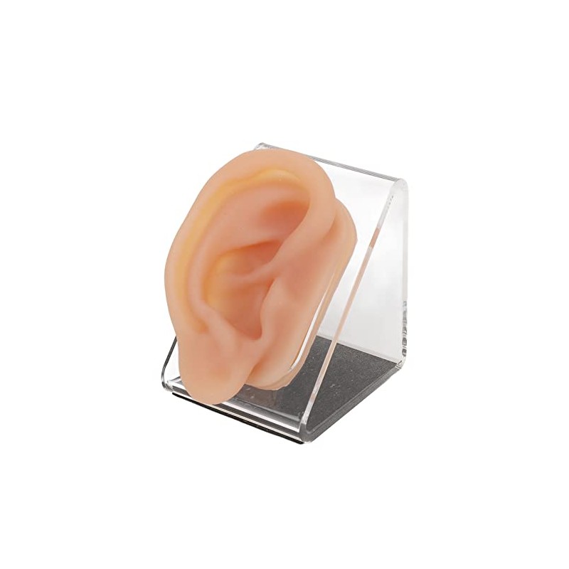Modelo de Oreja de Silicona, para Práctica de Acupuntura y