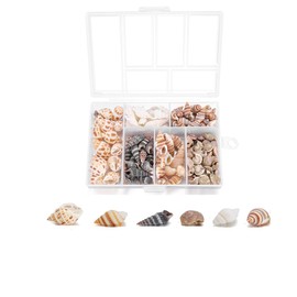 Sea Shells for Crafts, Shell Beads, Natural Shells Decoration with Storage Box, Colorful Mixed Beach Seashells for DIY Bracelet Jewellery, Home Decorations, Beach Theme Party (6 Sizes)