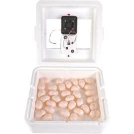 Little Giant NEW Little Giant 10500 Digital Circulated Air Incubator 41 Eggs with Fan TEMP