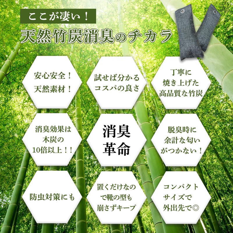 HouseCloud Odor Determinant Lyrica Bamboo Charcoal Deodorizer Bags 50g x